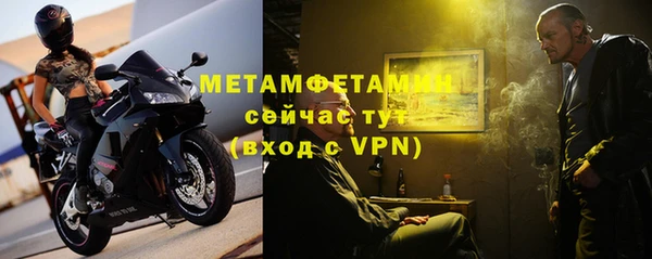 мет Алексин