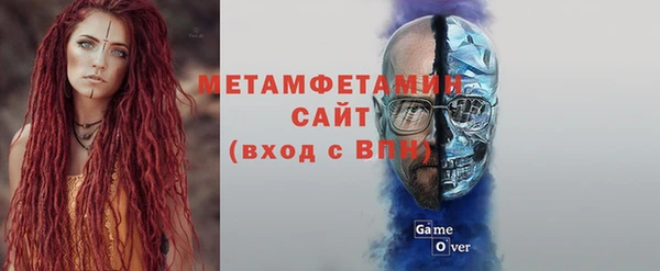 мет Алексин