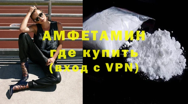 мет Алексин