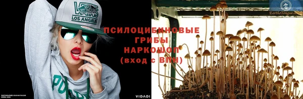 спайс Алексеевка