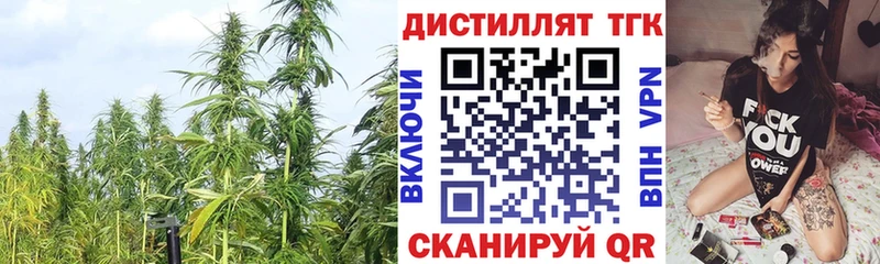 ТГК Wax  дарк нет как зайти  Магас 