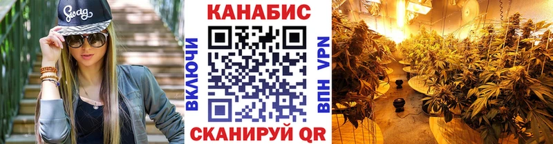 сайты даркнета клад  Магас  Шишки марихуана гибрид 